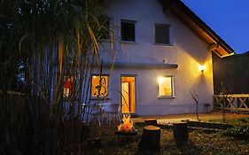 Wald-Apartment